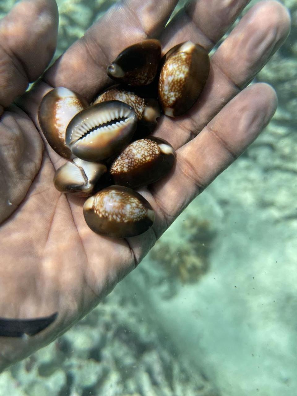 Mamello Beach Club Maldives Feridhoo Dış mekan fotoğraf