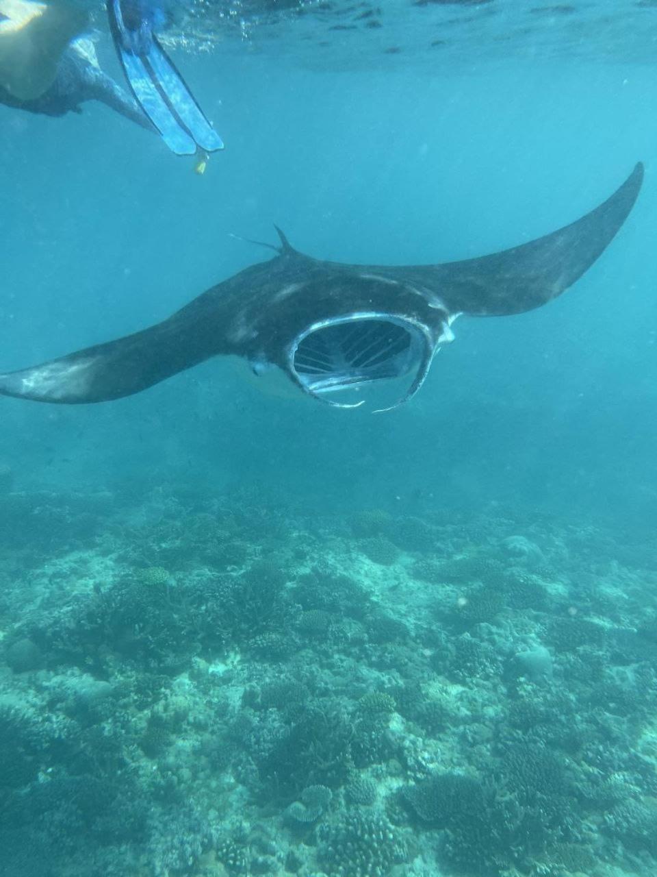 Mamello Beach Club Maldives Feridhoo Dış mekan fotoğraf