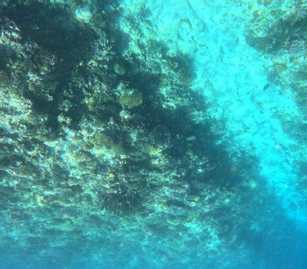 Mamello Beach Club Maldives Feridhoo Dış mekan fotoğraf