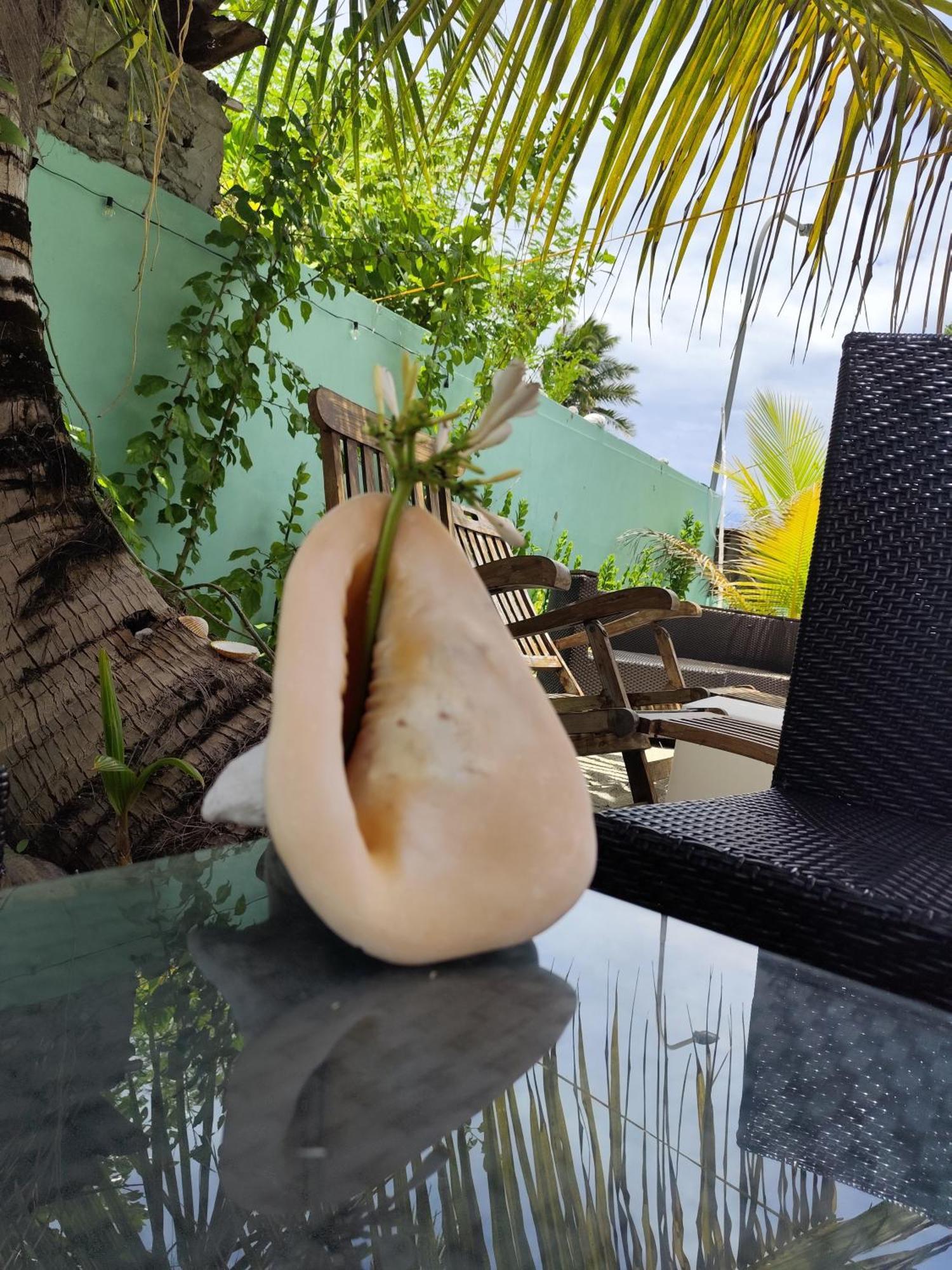 Mamello Beach Club Maldives Feridhoo Dış mekan fotoğraf